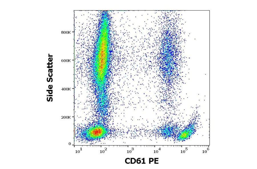 Flow Cytometry - Anti-Integrin beta 3 Antibody [VIPL2] (PE) (A85912)