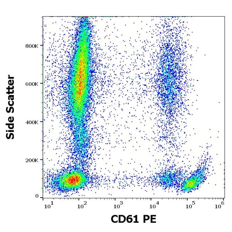 Flow Cytometry - Anti-Integrin beta 3 Antibody [VIPL2] (PE) (A85912)