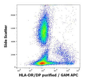 Flow Cytometry - Anti-HLA DR + HLA DP Antibody [HL-40] (A85917)