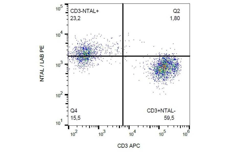 Flow Cytometry - Anti-NTAL Antibody [NAP-07] (PE) (A85920)