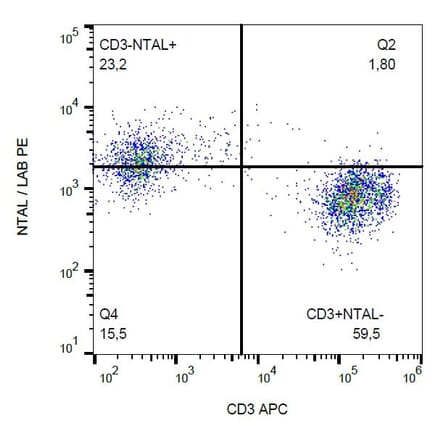 Flow Cytometry - Anti-NTAL Antibody [NAP-07] (PE) (A85920)
