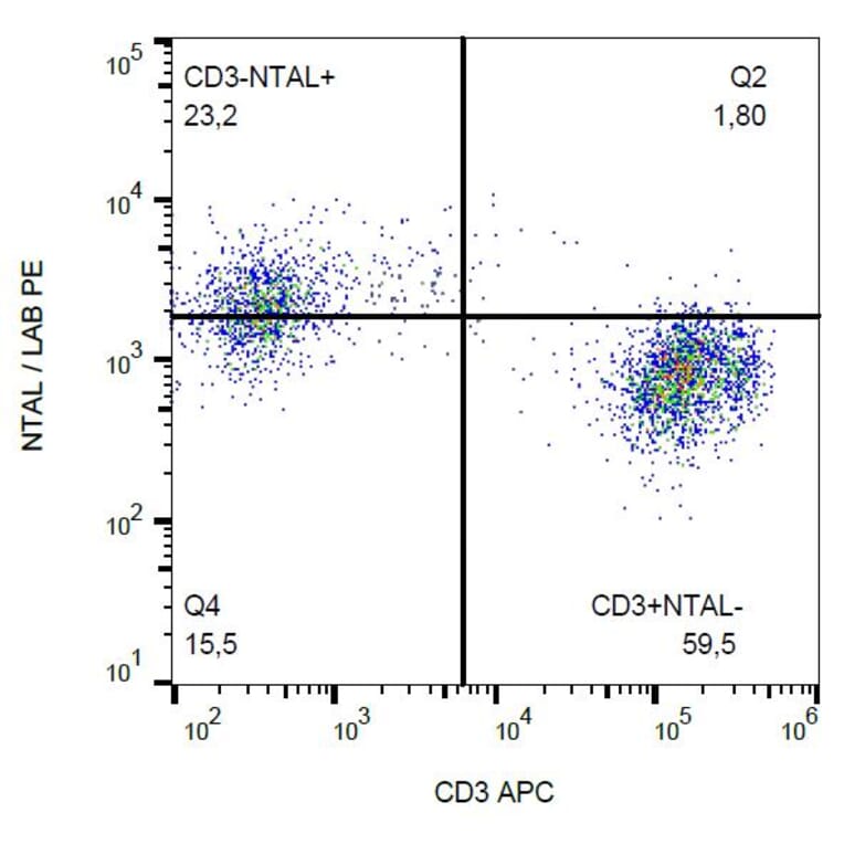 Flow Cytometry - Anti-NTAL Antibody [NAP-07] (PE) (A85920)