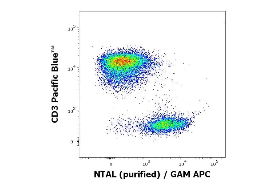 Flow Cytometry - Anti-NTAL Antibody [NAP-07] (A85921)
