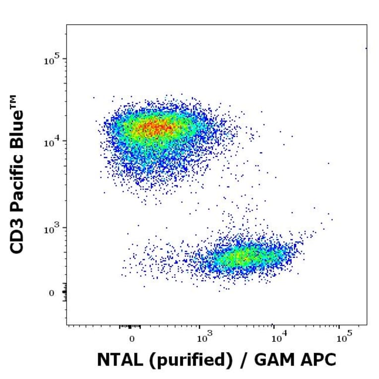 Flow Cytometry - Anti-NTAL Antibody [NAP-07] (A85921)