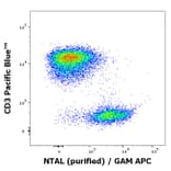Flow Cytometry - Anti-NTAL Antibody [NAP-07] (A85921)