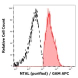 Flow Cytometry - Anti-NTAL Antibody [NAP-07] (A85921)
