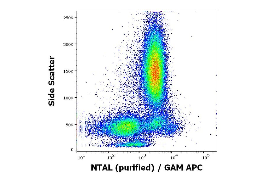 Flow Cytometry - Anti-NTAL Antibody [NAP-07] (A85921)