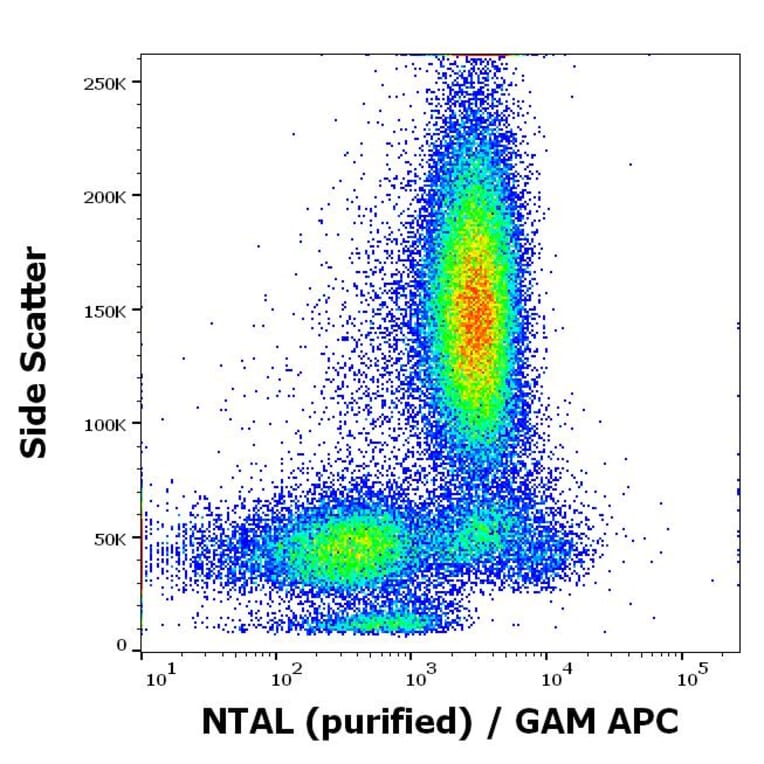 Flow Cytometry - Anti-NTAL Antibody [NAP-07] (A85921)
