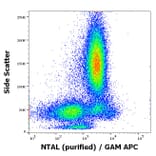 Flow Cytometry - Anti-NTAL Antibody [NAP-07] (A85921)