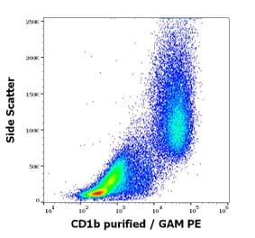 Flow Cytometry - Anti-CD1b Antibody [SN13] (A85923)