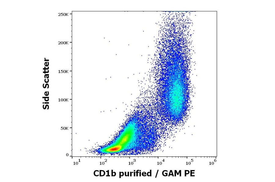 Flow Cytometry - Anti-CD1b Antibody [SN13] (A85923)