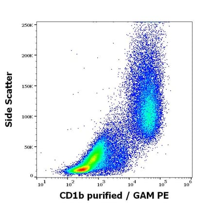 Flow Cytometry - Anti-CD1b Antibody [SN13] (A85923)