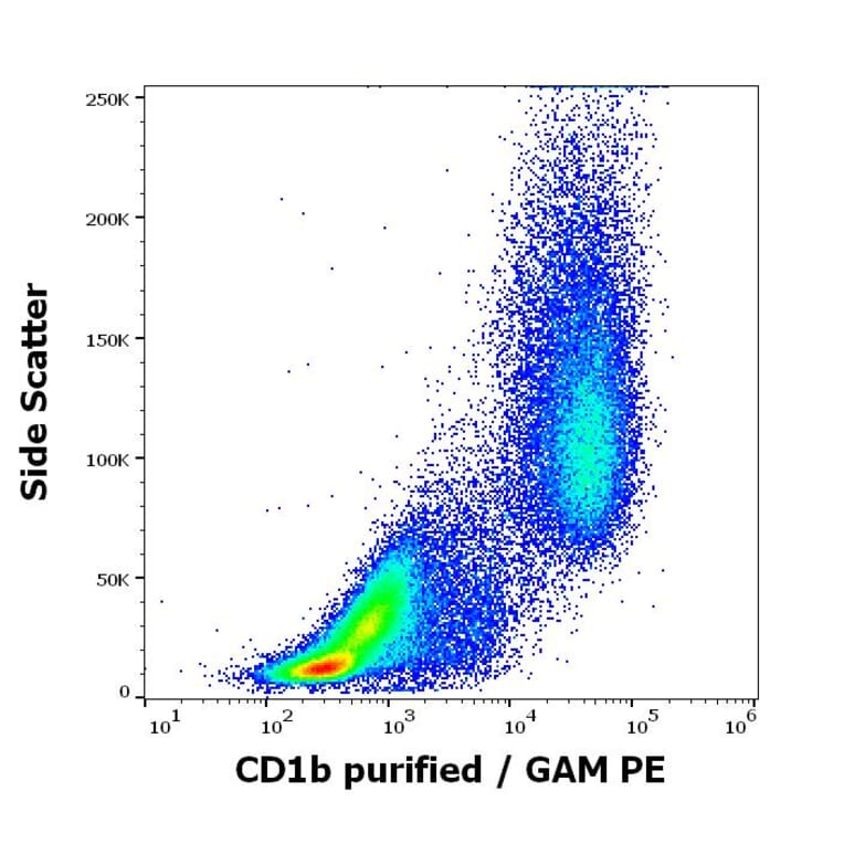 Flow Cytometry - Anti-CD1b Antibody [SN13] (A85923)