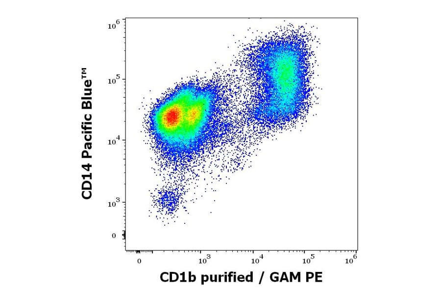 Flow Cytometry - Anti-CD1b Antibody [SN13] (A85923)