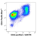 Flow Cytometry - Anti-CD1b Antibody [SN13] (A85923)