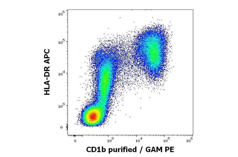 Flow Cytometry - Anti-CD1b Antibody [SN13] (A85923)