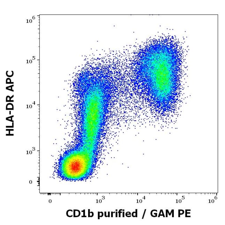 Flow Cytometry - Anti-CD1b Antibody [SN13] (A85923)