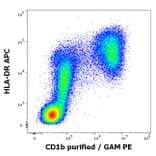 Flow Cytometry - Anti-CD1b Antibody [SN13] (A85923)
