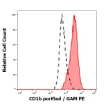 Flow Cytometry - Anti-CD1b Antibody [SN13] (A85923)