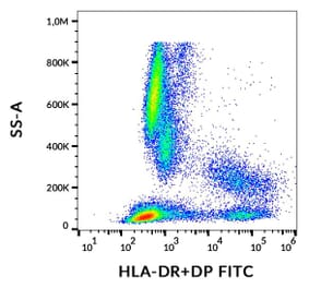 Flow Cytometry - Anti-HLA DR + HLA DP Antibody [HL-38] (FITC) (A85925)