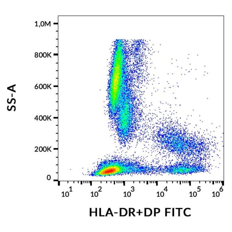 Flow Cytometry - Anti-HLA DR + HLA DP Antibody [HL-38] (FITC) (A85925)