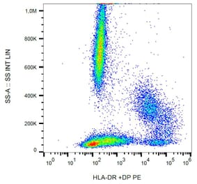 Flow Cytometry - Anti-HLA DR + HLA DP Antibody [HL-38] (PE) (A85926) - Antibodies.com