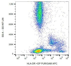 Flow Cytometry - Anti-HLA DR + HLA DP Antibody [HL-38] (A85931) - Antibodies.com