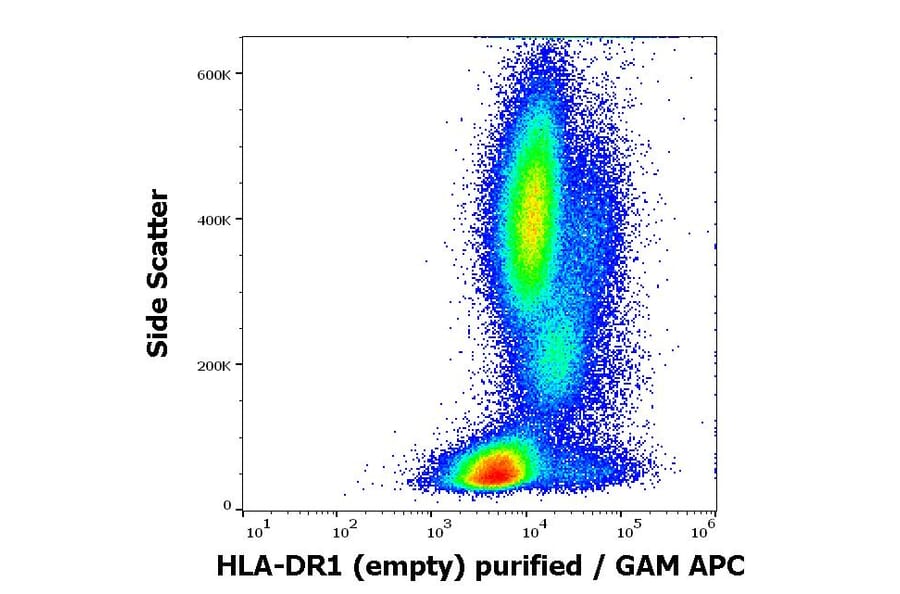 Flow Cytometry - Anti-HLA-DR Antibody [MEM-267] (A85933)