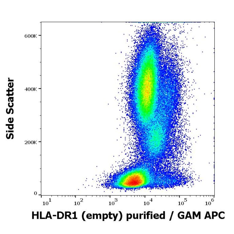 Flow Cytometry - Anti-HLA-DR Antibody [MEM-267] (A85933)
