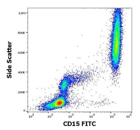 Flow Cytometry - Anti-CD15 Antibody [MEM-158] (FITC) (A85928) - Antibodies.com