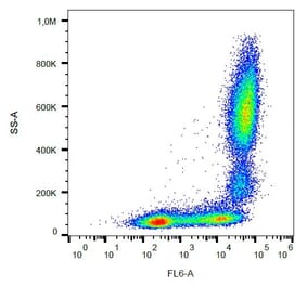 Flow Cytometry - Anti-CD11b Antibody [MEM-174] (APC) (A85939) - Antibodies.com