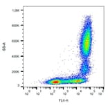 Flow Cytometry - Anti-CD11b Antibody [MEM-174] (APC) (A85939) - Antibodies.com