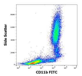 Flow Cytometry - Anti-CD11b Antibody [MEM-174] (FITC) (A85942)