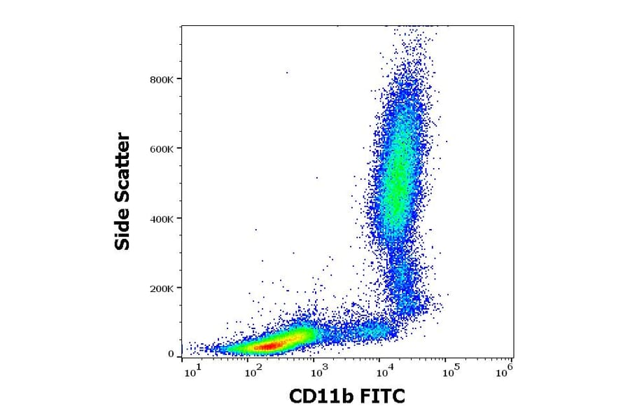 Flow Cytometry - Anti-CD11b Antibody [MEM-174] (FITC) (A85942)