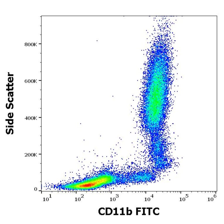 Flow Cytometry - Anti-CD11b Antibody [MEM-174] (FITC) (A85942)