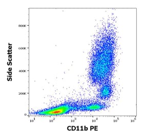 Flow Cytometry - Anti-CD11b Antibody [MEM-174] (PE) (A85943)