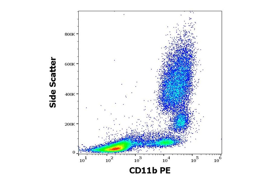 Flow Cytometry - Anti-CD11b Antibody [MEM-174] (PE) (A85943)