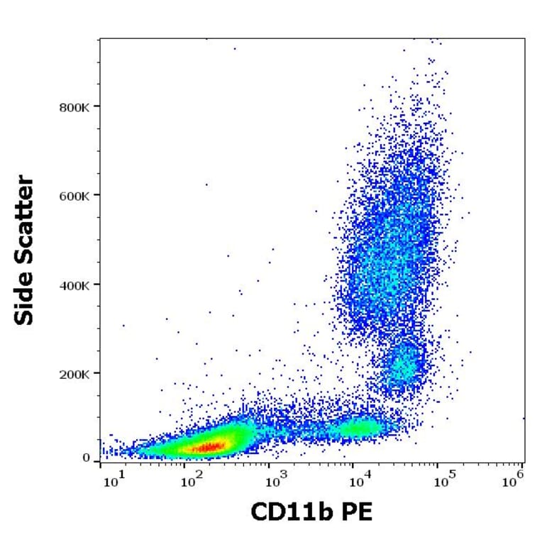 Flow Cytometry - Anti-CD11b Antibody [MEM-174] (PE) (A85943)