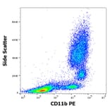 Flow Cytometry - Anti-CD11b Antibody [MEM-174] (PE) (A85943)