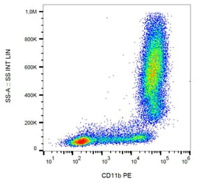 Flow Cytometry - Anti-CD11b Antibody [MEM-174] (PE) (A85941) - Antibodies.com