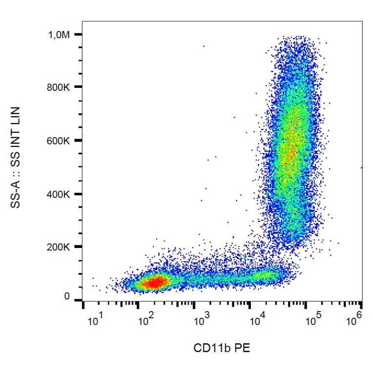 Flow Cytometry - Anti-CD11b Antibody [MEM-174] (PE) (A85941) - Antibodies.com