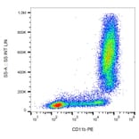 Flow Cytometry - Anti-CD11b Antibody [MEM-174] (PE) (A85941) - Antibodies.com