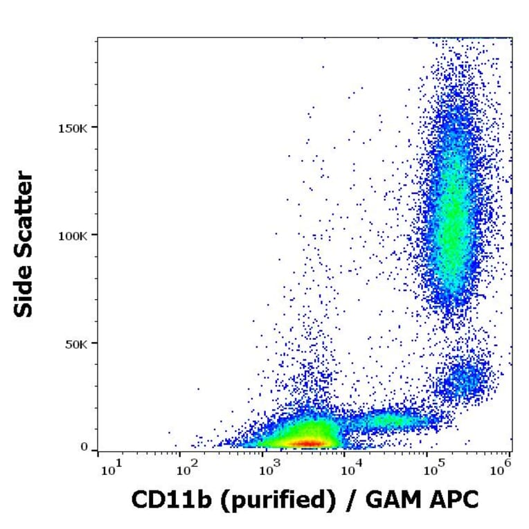 Flow Cytometry - Anti-CD11b Antibody [MEM-174] - BSA and Azide free (A85946)