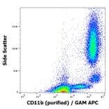 Flow Cytometry - Anti-CD11b Antibody [MEM-174] - BSA and Azide free (A85946)