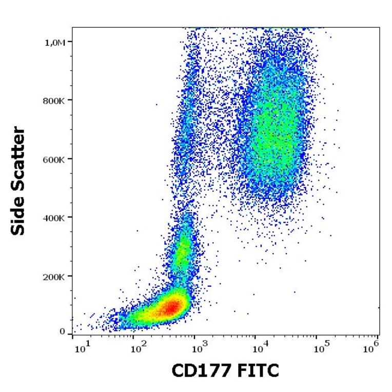 Flow Cytometry - Anti-CD177 Antibody [MEM-166] (FITC) (A85936) - Antibodies.com