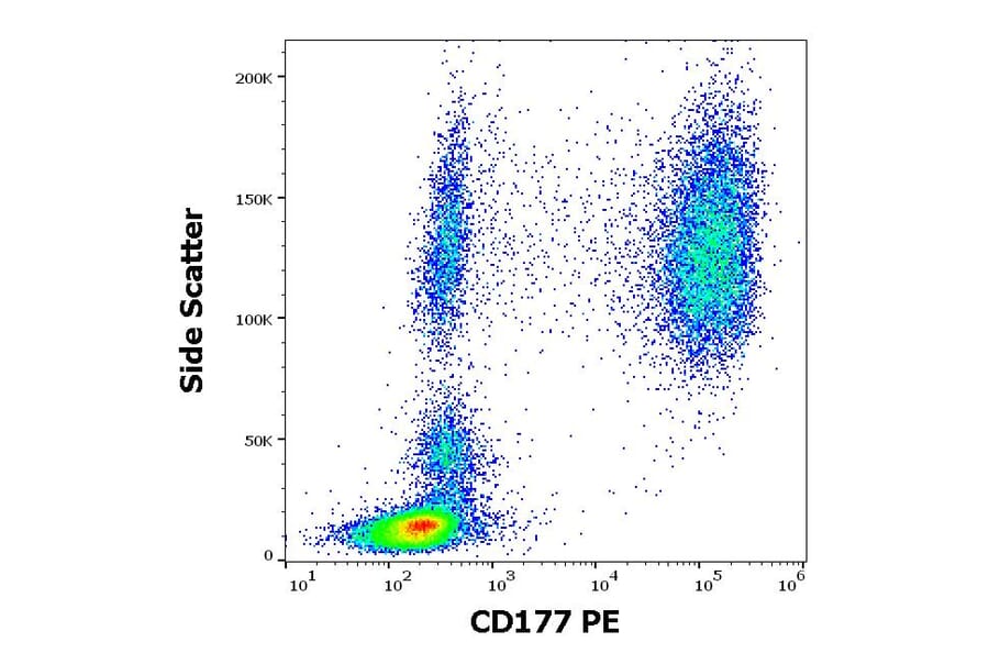 Flow Cytometry - Anti-CD177 Antibody [MEM-166] (PE) (A85950)