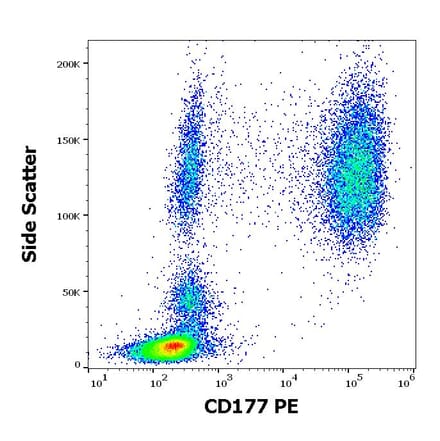 Flow Cytometry - Anti-CD177 Antibody [MEM-166] (PE) (A85950)