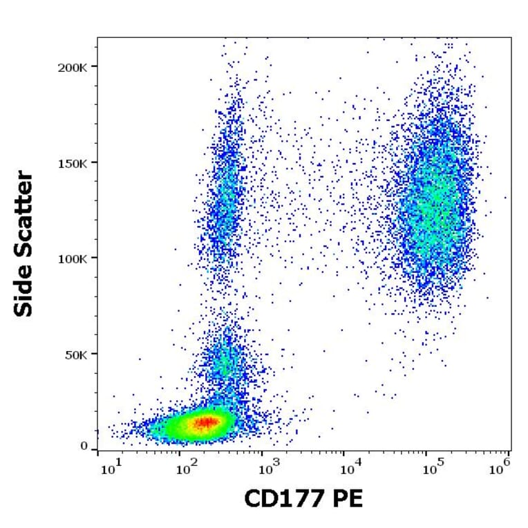 Flow Cytometry - Anti-CD177 Antibody [MEM-166] (PE) (A85950)