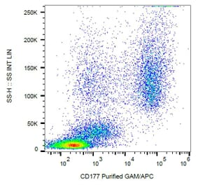Flow Cytometry - Anti-CD177 Antibody [MEM-166] (A85951)