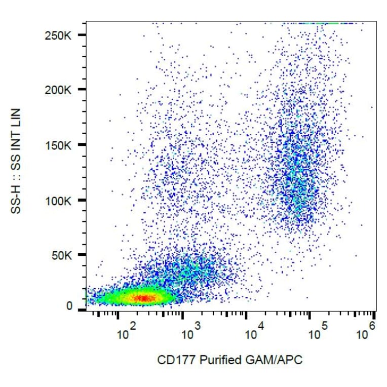 Flow Cytometry - Anti-CD177 Antibody [MEM-166] (A85951)